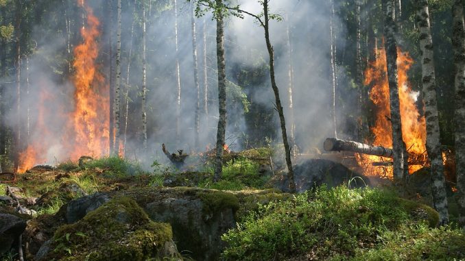Incendi nel Ragusano: arrestati due rumeni Incendi