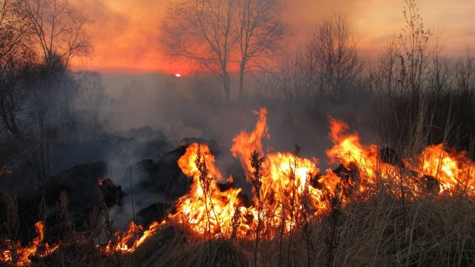 incendio racket