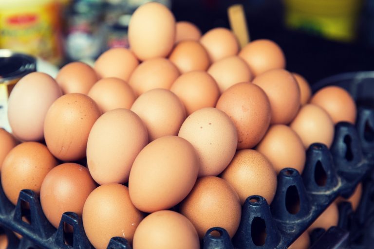 Uova contaminate, nuovo caso di Fipronil in Sardegna Fipronil