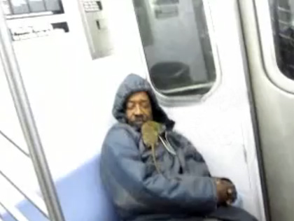 rat on subway
