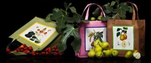 buyvipshoppingbag 300x125