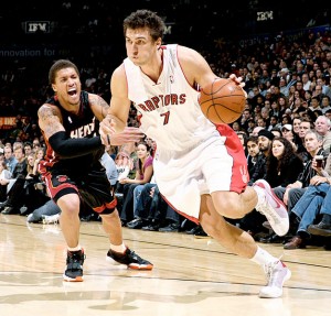 andrea-bargnani-raptors andrea-bargnani-raptors