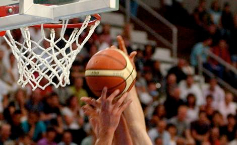 basket basket