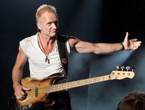 sting1 300x228