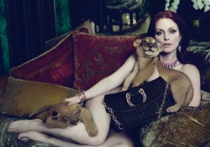 julianne moore 300x211