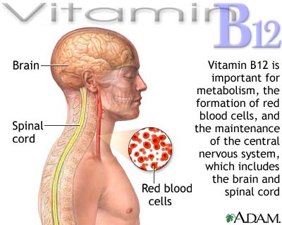 carenza vitamina b12 pelle