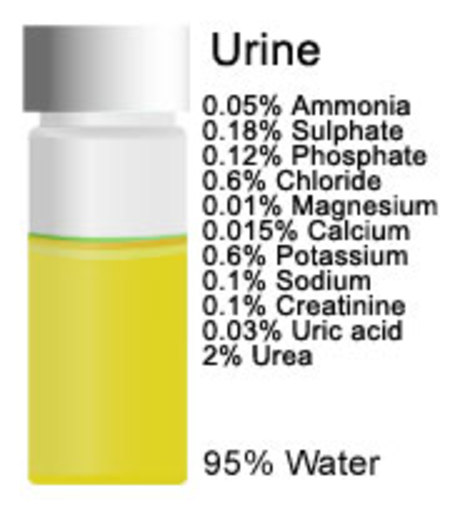 urine substances