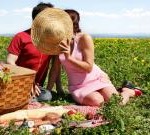 picnic romantico 150x135