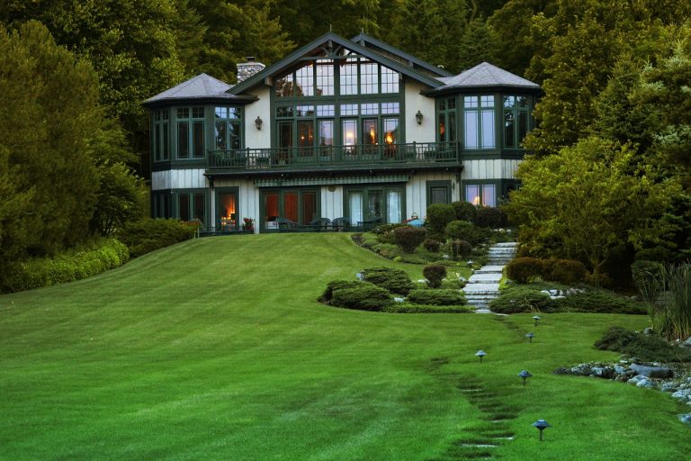 Zoysia