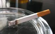 fumo