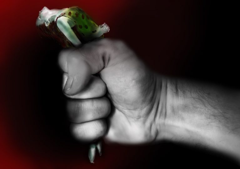 violenza domestica