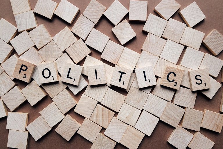 Fare-il-politico Fare il politico