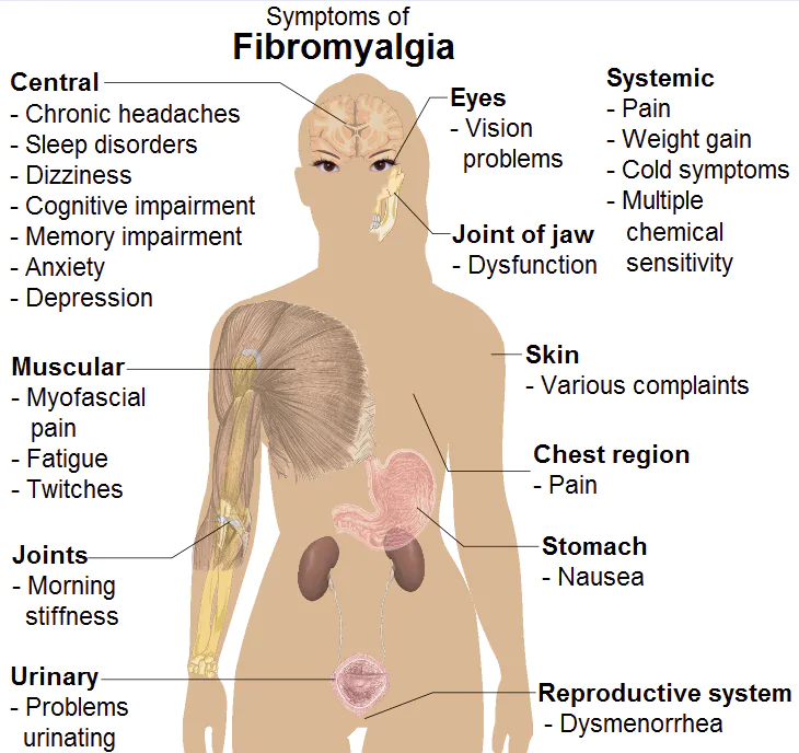 cibi contro la fibromialgia