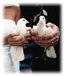 La liberazione delle colombe