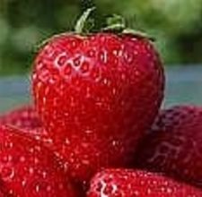article page main ehow images a04 a7 ce strawberry facial masks 800x800