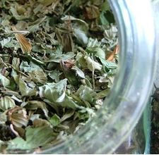 article page main ehow images a06 1c sd make green tea facial scrub 800x800