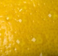 article page main ehow images a07 pf dn mince rinds lemons 800x800