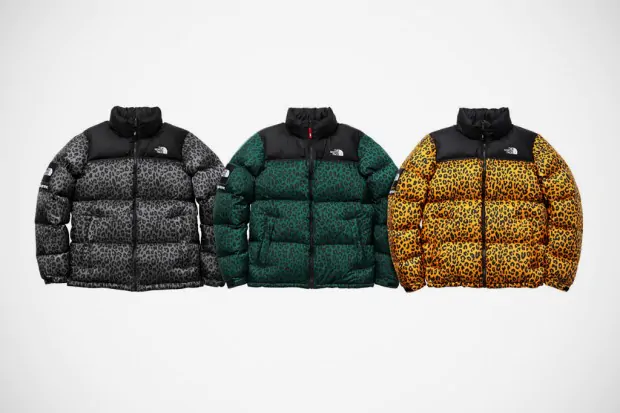 supreme the north face 2011 capsule collection 001 620x413