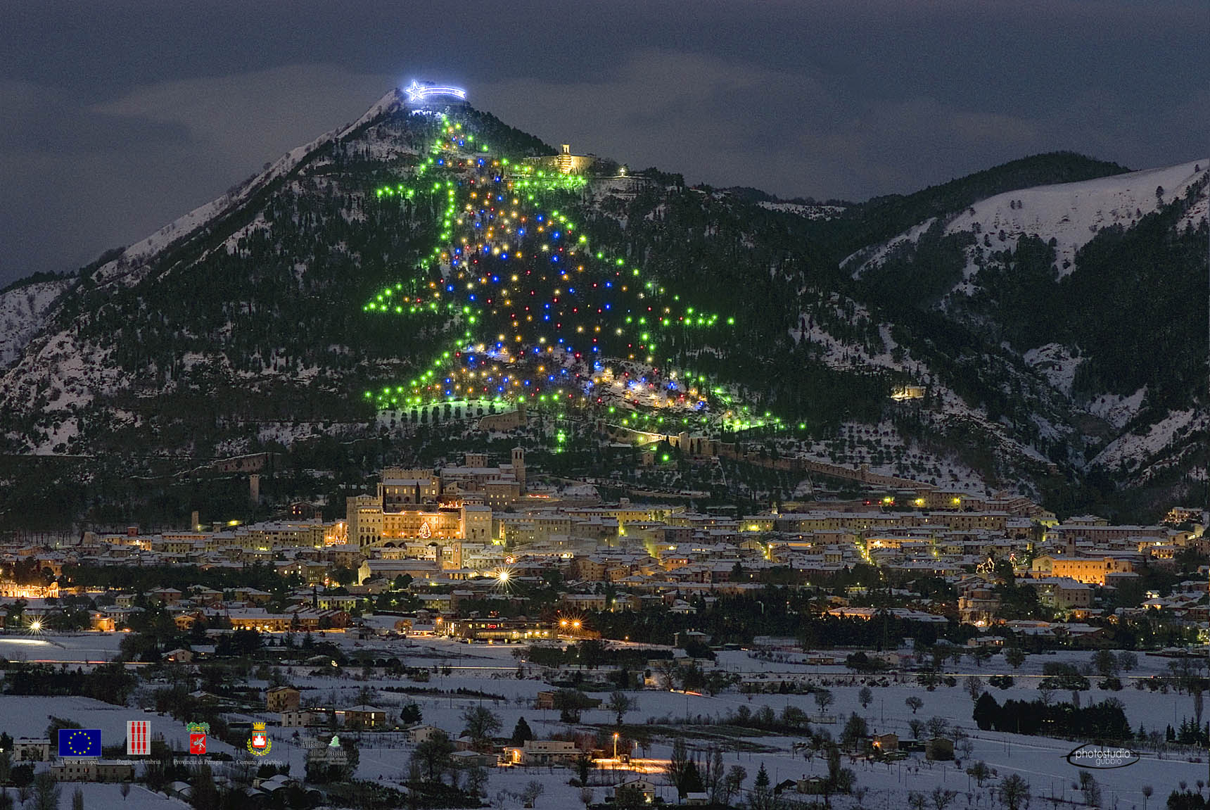 ALBERO DI GUBBIO1