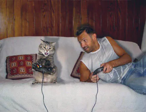 Gatto gioca con la playstation