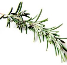 article page main ehow images a04 k4 qd store fresh rosemary 800x800