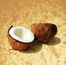 article page main ehow images a07 tt qh alternatives coconut milk 800x800