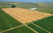 attivita agricole 04 185x115