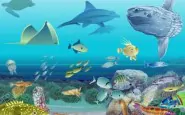 ecosistema marino tierra1 185x115