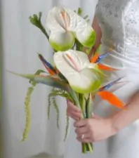 Bouquet da sposa con anthurium e sterlizie