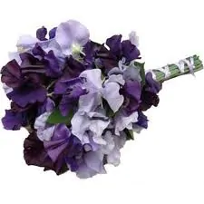 Bouquet da sposa viola
