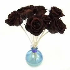 Bouquet di rose color cioccolato