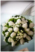 Bouquet di tulipani bianchi