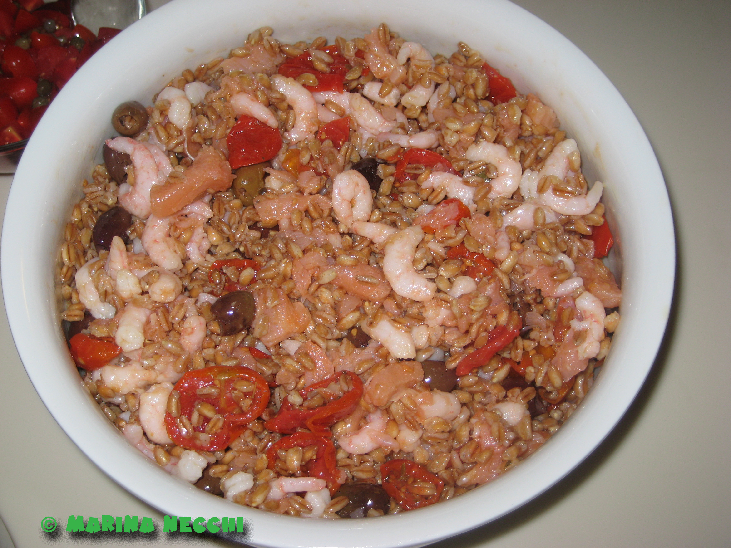 20090604 farro con salmone e gamberetti 12 copia