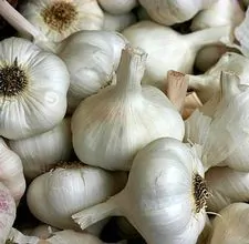 article page main ehow images a02 2k ho use garlic as antibiotic 800x800