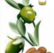 article page main ehow images a04 qa da important sweet almond oil 800x800