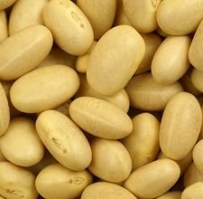 come cuocere i fagioli bianchi secchi