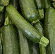 article page main ehow images a07 ma g3 broiled zucchini 800x800