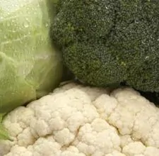 article page main ehow images a07 sk 5g cook broccoli properly nutritional benefits 800x800