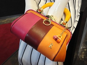 Bagognhi Bag