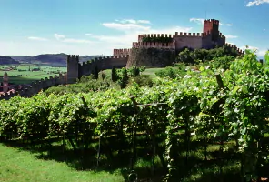 itinerario di viaggio castelli romani i percorsi dei vini alla scoperta dellenogastronomia del lazio