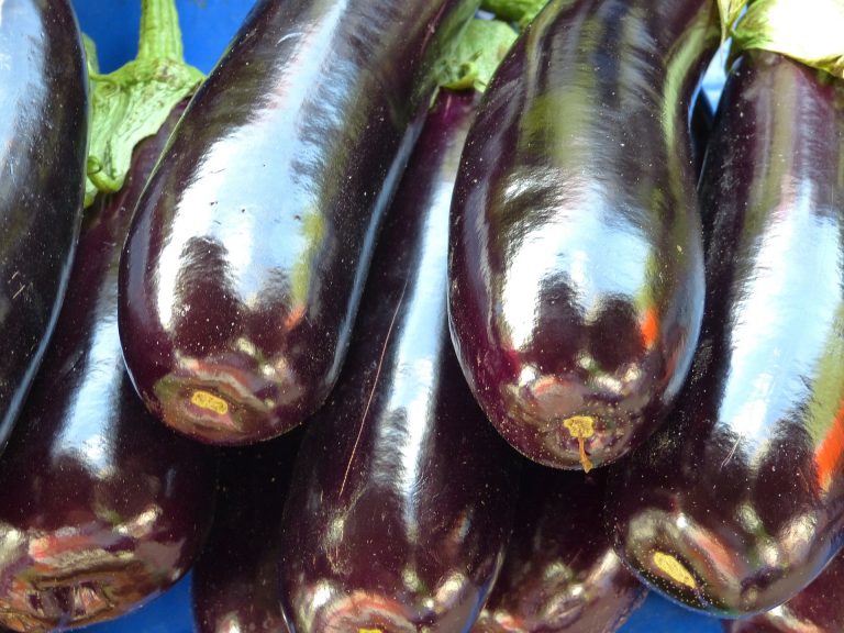 melanzana