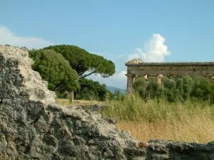 Varie Paestum e Lago 067 300x225