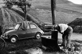 leonard freed