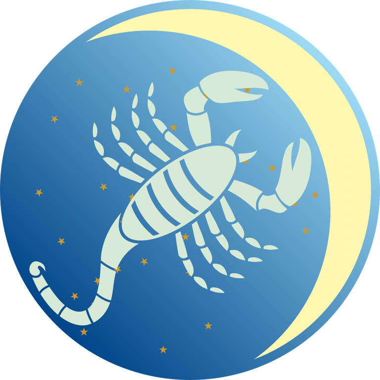 Cose da sapere quando si esce con uno scorpione