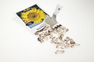 article new ehow images a04 sp l7 make sunflower seed butter 800x8001