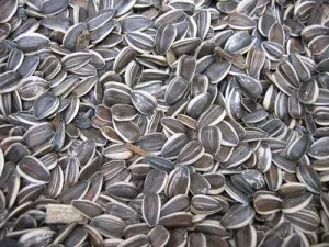 article new ehow images a06 vc a7 roast sunflower seeds flavor 800x800 300x225