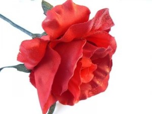 article new ehow images a07 96 3d wash silk flowers 800x800 300x225