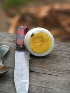 article new ehow images a07 af ku reheat hard boiled egg 800x800