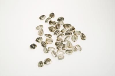 article new ehow images a07 hc k6 sunflower seeds out sunflower 800x800