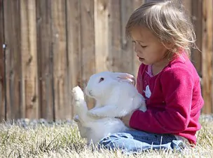 bambino e coniglio rapporto animali bimbo1